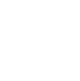 WG 1.png